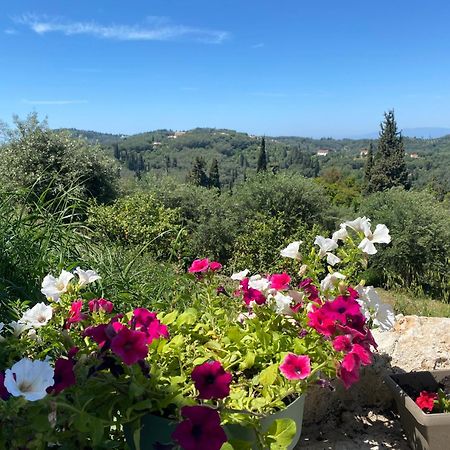 Dinateli Houses - Live Like A Local In Corfu Kastellanoi  외부 사진